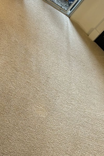 Fresh Carpets Pristine Upholstery Fresh Carpets Pristine Upholstery, carpet cleaning in potomac
